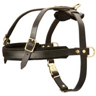 Leather Collie Harness for Tracking and Pulling