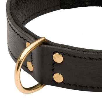 Brass D-ring Stitched to Leather Collie Collar