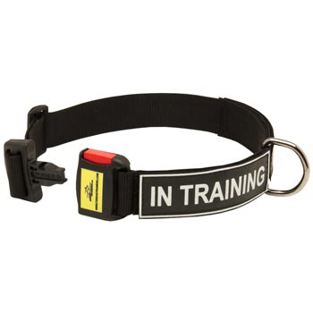 Nylon Dog Collar for Collie Police Training
