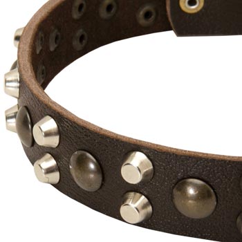 Leather Collie Collar with Hand Set Studs