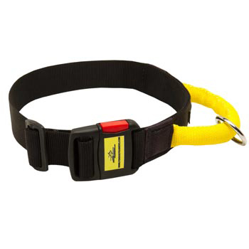 Nylon Collie Collar with Quick Release Buckle