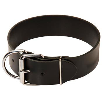 Collie Leather Collar of Extra Width
