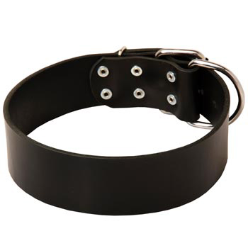 Leather Collie Collar for Control During Walking