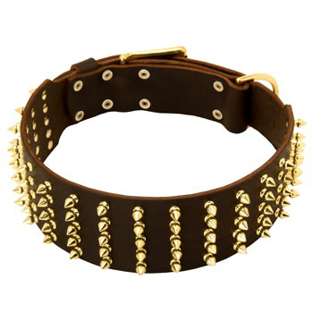 Fashionable Spiked Leather Collie Collar