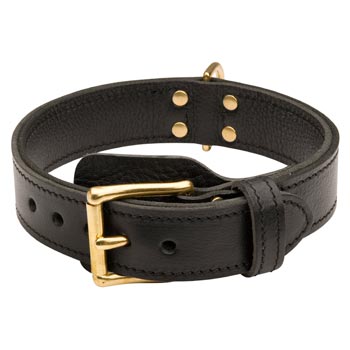 Collie  Leather Collar with Easy in Use Buckle