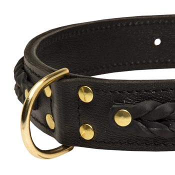 Collie Wide Leather Collar with D-ring