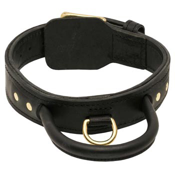 Leather Dog Collar with Handle for Collie