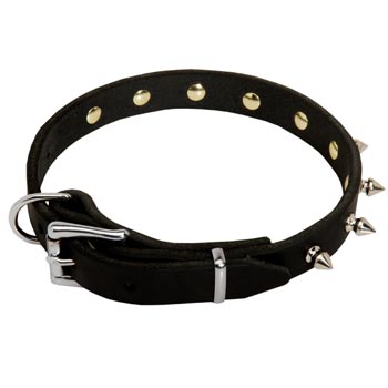 Collie Dog Leather Collar Steel Nickel Plated Spikes