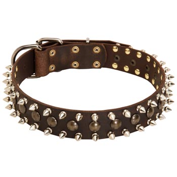 Collie Leather Collar with Stylish Decoration