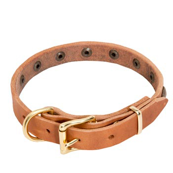 Collie Leather Collar with Studs