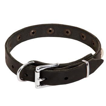 Leather Dog Puppy Collar with Steel Nickel Plated Studs for Collie