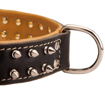 Padded Leather Collie Collar Spiked Adjustable for Training