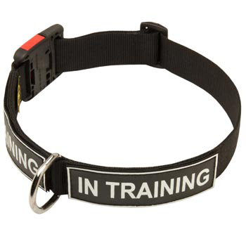 Nylon Collie Collar With ID Patches