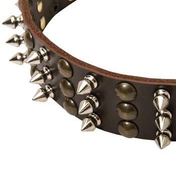 3 Rows of Spikes and Studs Decorative Collie  Leather Collar