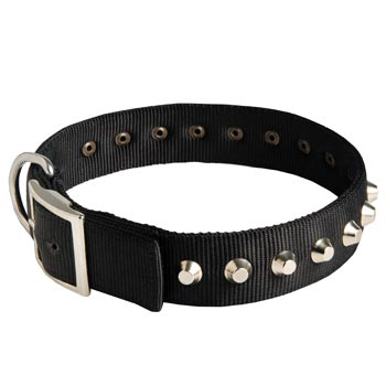 Nylon Buckle Dog Collar Wide with Studs for   Collie