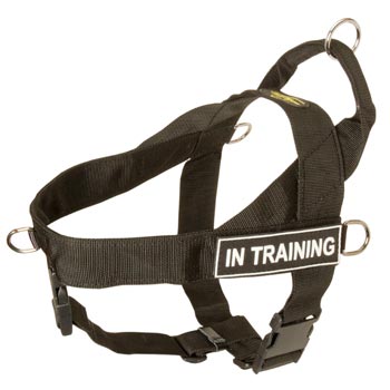 Collie Nylon Harness with ID Patches