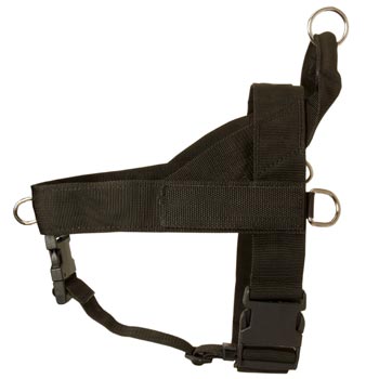 Collie Harness Nylon for Comfy Walking