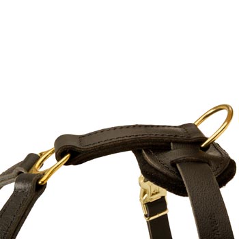 Corrosion Resistant D-ring of Collie Harness