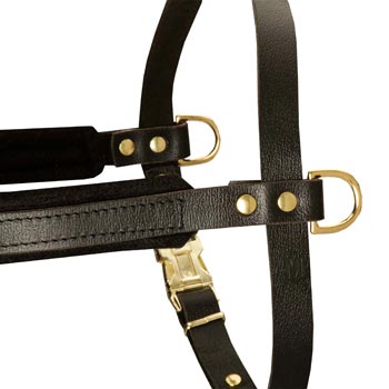 Training Pulling Collie Harness with Sewn-In Side D-Rings
