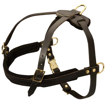 Leather Collie Harness for Dog Off Leash Training