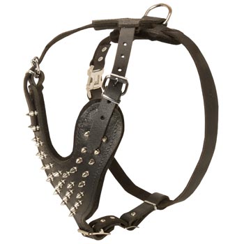Spiked Leather Harness for Collie Walking
