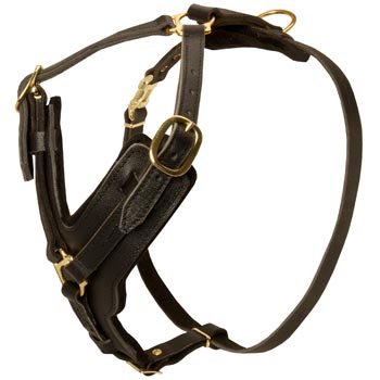 Comfortable Y-Shaped Leather Harness for Collie Attack  Training