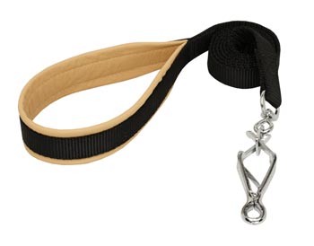 Collie Nylon Leash for Walking and Training