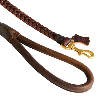 Braided Leather Collie Leash with Brass Snap Hook