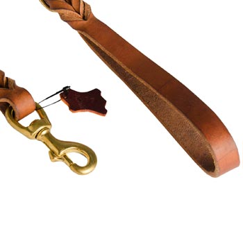 Collie Leather Leash for Canine Service