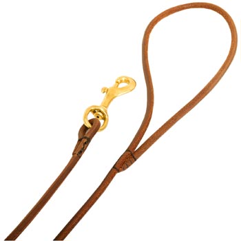 Leather Collie Leash with Comfy Round Handle