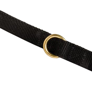 Nylon Collie Leash Solid Brass Ring