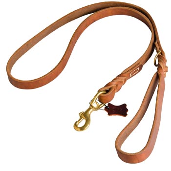 Canine Leather Leash for Collie