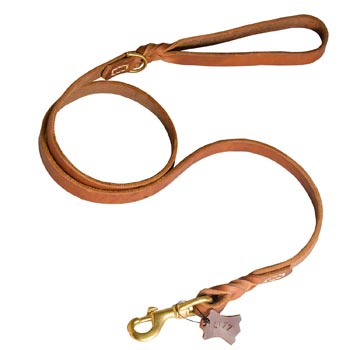 Training Leather Collie Leash with Handle