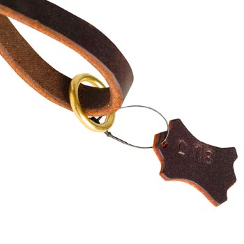 Leather Collie Leash with Brass-Made O-Ring