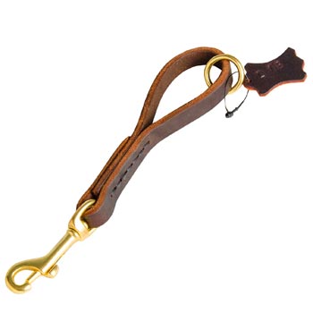 Pull Tab Leather Dog Leash for Collie
