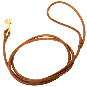 Leather Round Leash for Collie Elegant Look