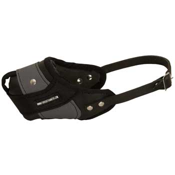 Collie Muzzle Leather and Nylon for Walking and Training