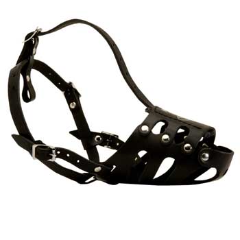 Leather Collie Well-Fitting Muzzle