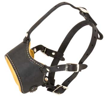 Leather Collie Muzzle for No Bark Training Walking