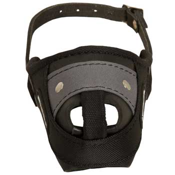 Nylon and Leather Collie Muzzle with Steel Bar for Protection Training