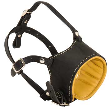 Adjustable Collie Muzzle Padded with Soft Nappa Leather for Anti-Barking Training