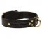 Incredible Design Collie Braided Leather Collar