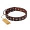 "Pirate Treasure" FDT Artisan Exciting Brown Leather Collie Collar with Studs