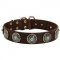 Leather Collie Collar with Blue Stones for Stylish Walking