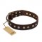 "Bronze Sheen" FDT Artisan Leather Collie Collar with Brass-Plated Studs