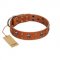 "Rebellious Nature" FDT Artisan Tan Leather Collie Collar Embellished with Crossbones and Square Studs
