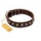 "Gape Buster" FDT Artisan Brown Leather Collie Collar with One Row of Studs