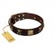 "Crazy Pirate" FDT Artisan Brown Leather Collie Collar with Old Bronze-Plated Skulls and Plates