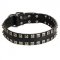 "Caterpillar" Design Leather Collie Collar with Studs