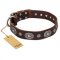 "Extra Pizzazz" FDT Artisan Adorned Brown Leather Collie Collar